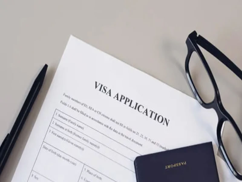 Visa Application Support